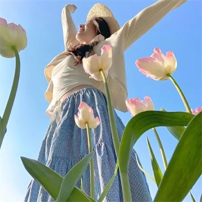 芝加哥警署第七季