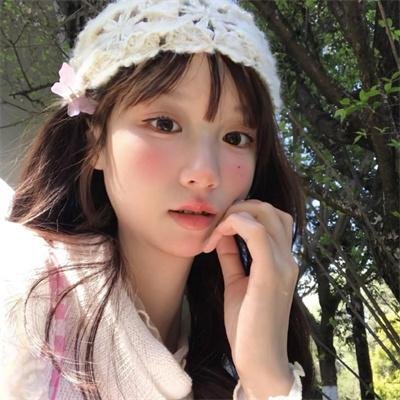 科搜研之女第23季